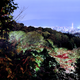 Image for article titled 45 of the Brightest Cities in the World, Photographed By One Woman
